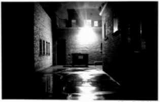 the white light machine